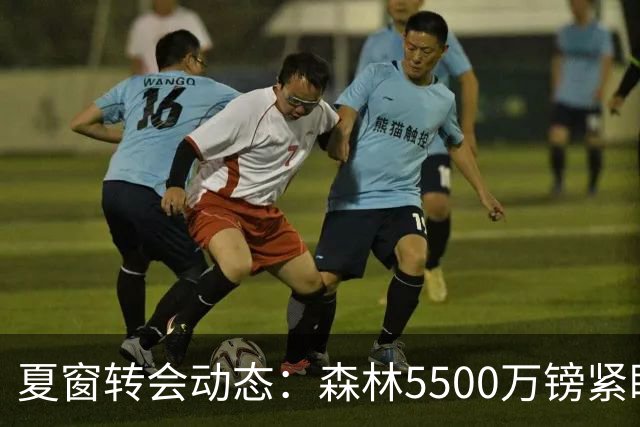 夏窗转会动态：森林5500万镑紧盯赖因德斯，罗马拒绝4队求租瓦斯