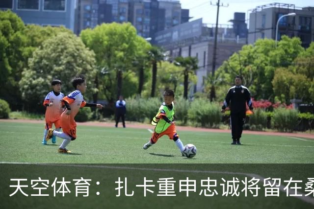 天空体育：扎卡重申忠诚将留在桑德兰 欧战成决定性因素